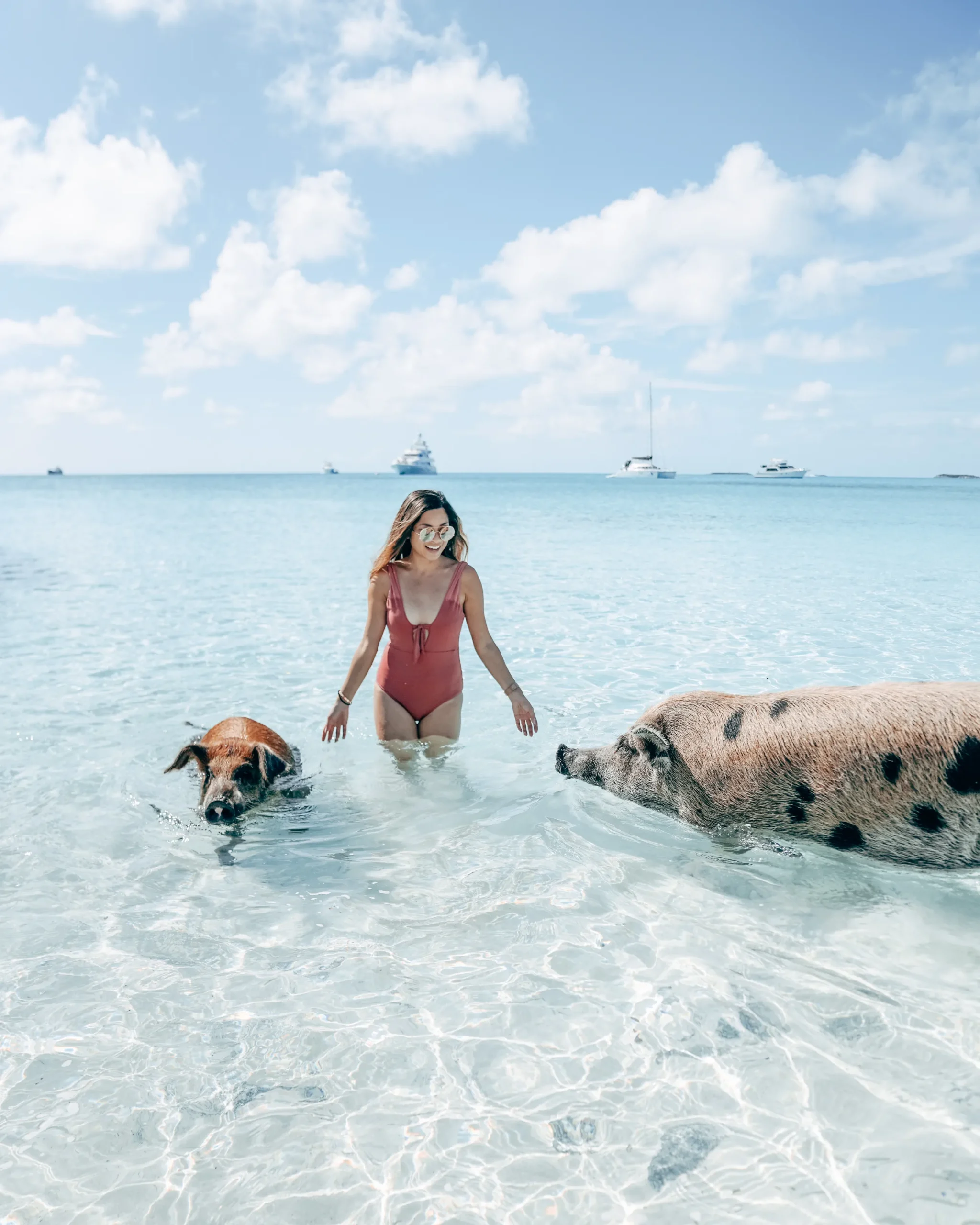 Simming pigs tours Simming pigs tours