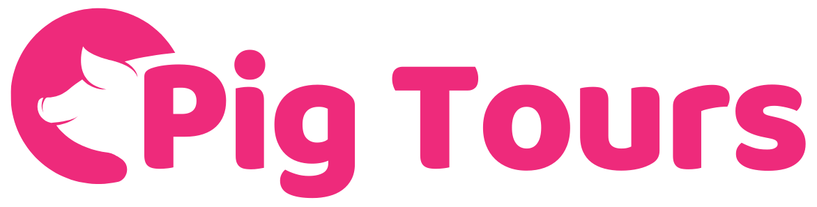 Pig Tours 