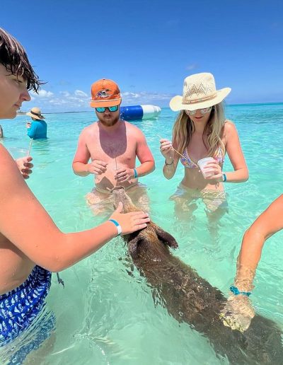 Top Pig Tours Bahamas